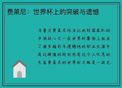 费莱尼：世界杯上的突破与遗憾